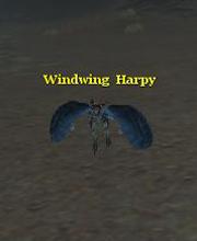 Windwing Harpy